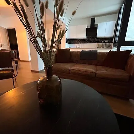 Grand Cru * Magnifique Duplex Au Coeur D'epernay Apartment *
