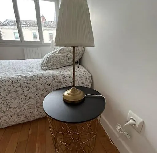 Grand Cru * Magnifique Duplex Au Coeur D'epernay Épernay