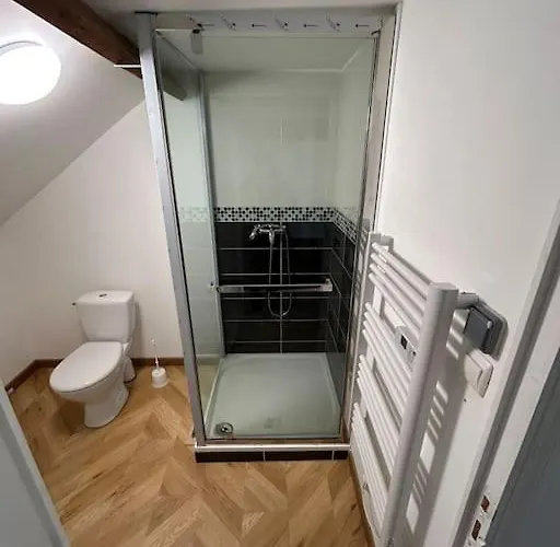 Grand Cru * Magnifique Duplex Au Coeur D'epernay Épernay